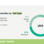 10-fossil-fuel-subsidies
