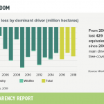 9-tree-cover-loss