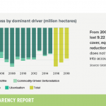 9-tree-cover-loss