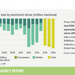 Russia-9-tree-cover-loss