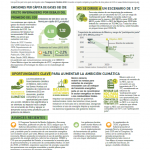 Mexico-CT-2020-Spanish