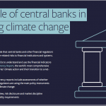 The role of central banks