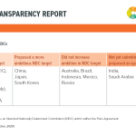 G20 status of updated NDCs